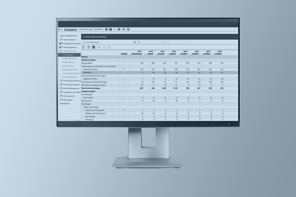 Wirtschaftsprüfung - Durchführen einer eingeschränkten Revision
